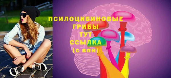 прущие грибы Бугульма