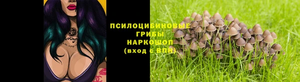 ешки Бородино
