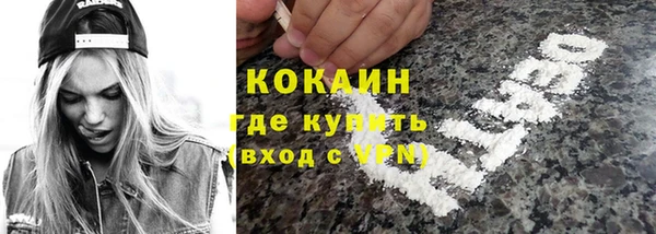 ешки Бородино