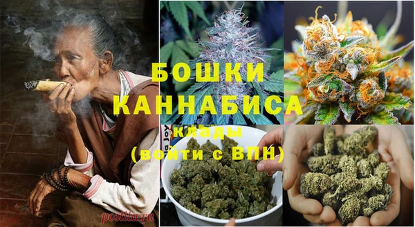 прущие грибы Бугульма