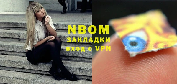 ешки Бородино