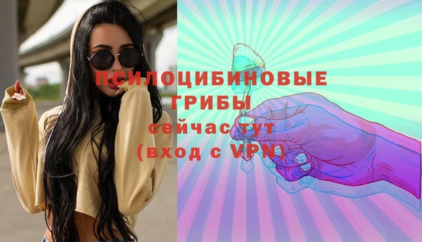 прущие грибы Бугульма
