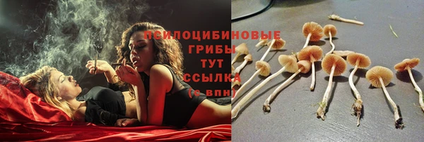 ешки Бородино