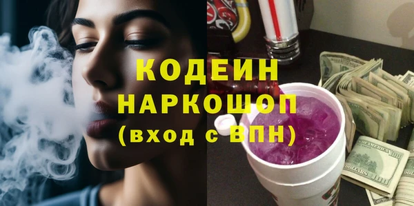 ешки Бородино