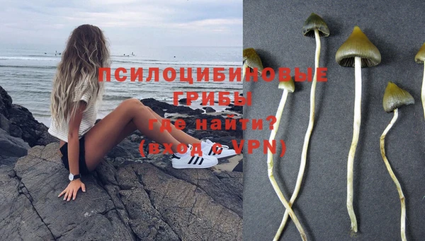прущие грибы Бугульма