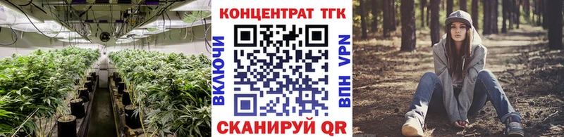 даркнет сайт Новоржев Дистиллят ТГК THC oil